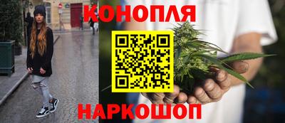 прущие грибы Партизанск